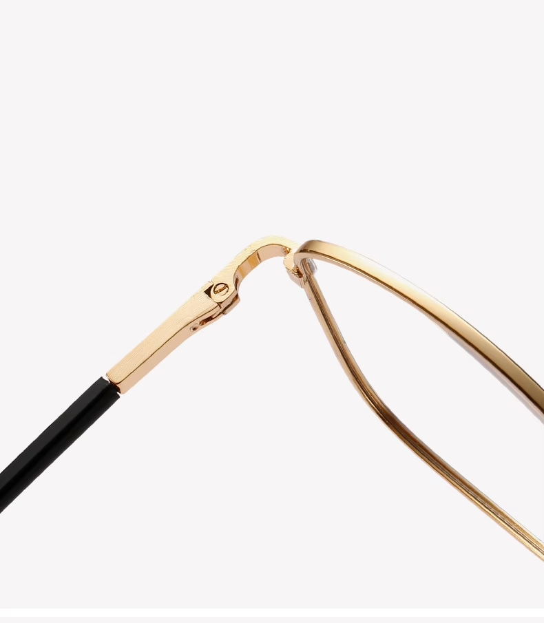 Photochromic + Anti Blue Light Glasses (CG2)